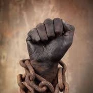 Meet your Posher, Jimmy